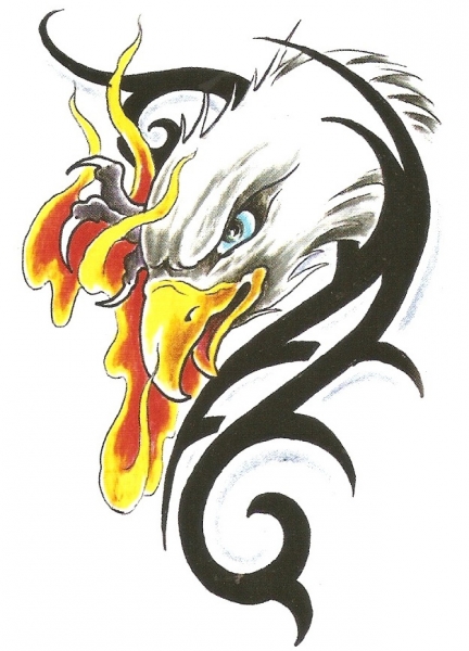 Card image cap